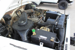 White 1981 Toyota Land Cruiser